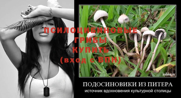 apvp Белокуриха
