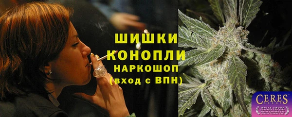 apvp Белокуриха
