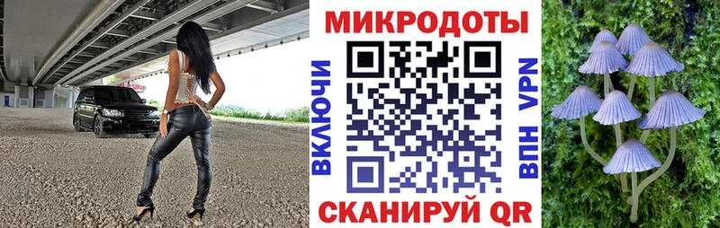 Псилоцибиновые грибы Psilocybe  Югорск 